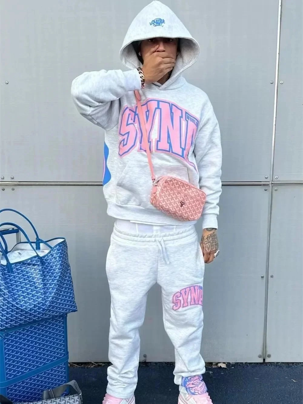 Goyard Saint Louis Mini Crossbody Bag Pink Chevron Pattern