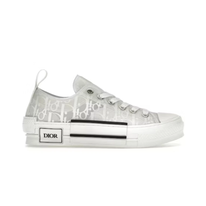 Dior B23 Low-Top Sneaker White Monogram Mesh with Black Stripe