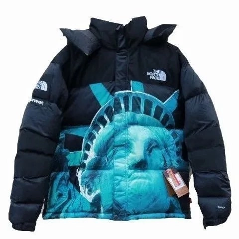 Supreme x The North Face Liberty Print Nuptse Jacket Black