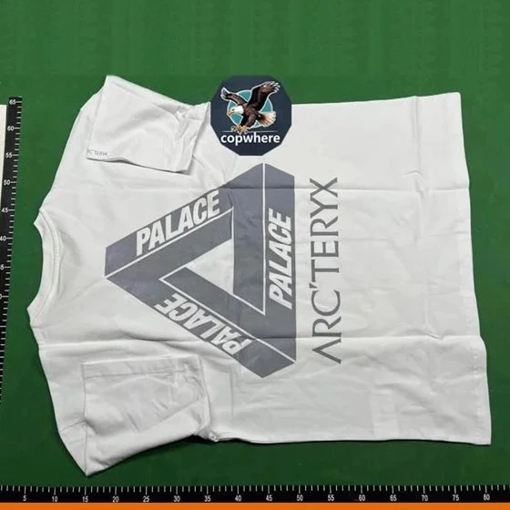 Palace x Arc'teryx Collaborative White T-Shirt with Geometric Logo